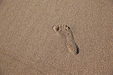 粉丝购买4万美元任天堂股票 只为询问老IP会不会重启